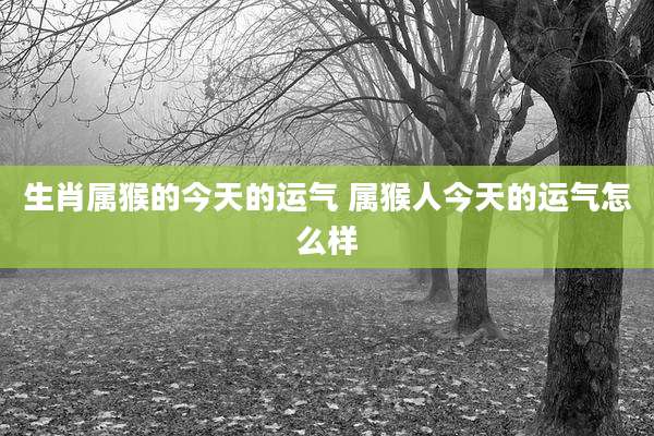 生肖属猴的今天的运气 属猴人今天的运气怎么样