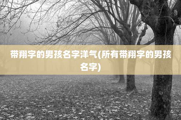带翔字的男孩名字洋气(所有带翔字的男孩名字)
