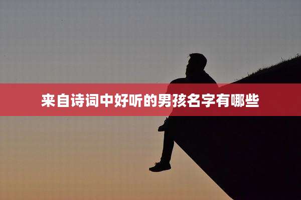来自诗词中好听的男孩名字有哪些