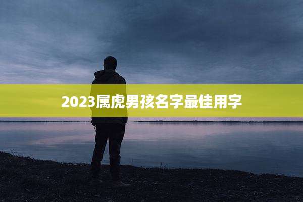 2023属虎男孩名字最佳用字
