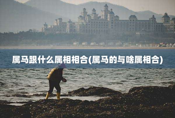 属马跟什么属相相合(属马的与啥属相合)