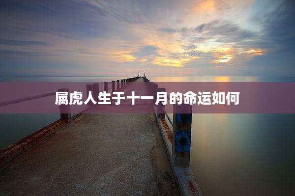 属虎人生于十一月的命运如何