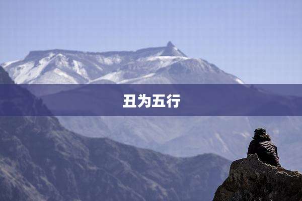 丑为五行