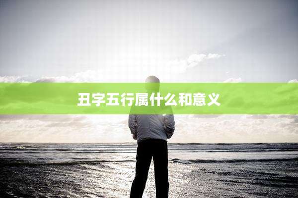丑字五行属什么和意义