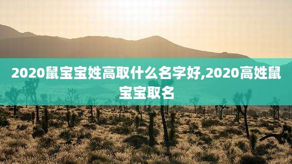 2020鼠宝宝姓高取什么名字好,2020高姓鼠宝宝取名