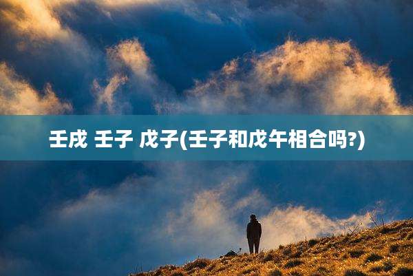 壬戌 壬子 戊子(壬子和戊午相合吗?)
