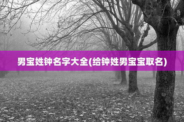 男宝姓钟名字大全(给钟姓男宝宝取名)