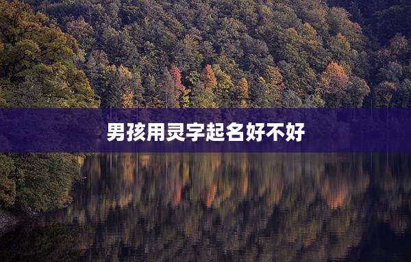 男孩用灵字起名好不好
