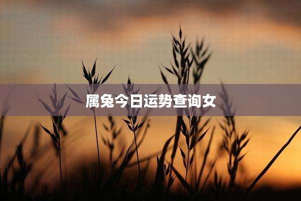 属兔今日运势查询女
