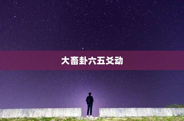 大畜卦六五爻动
