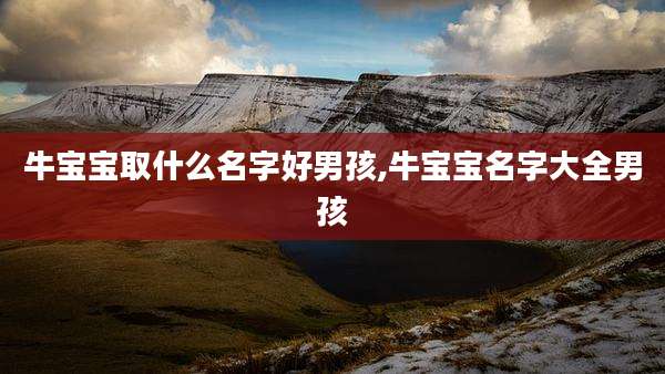 牛宝宝取什么名字好男孩,牛宝宝名字大全男孩