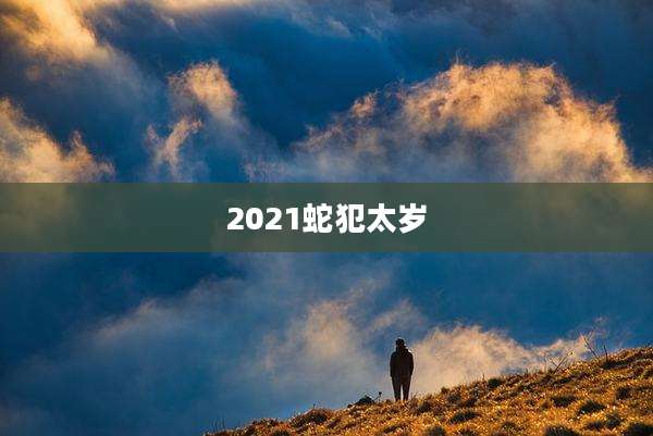 2021蛇犯太岁