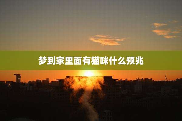 梦到家里面有猫咪什么预兆