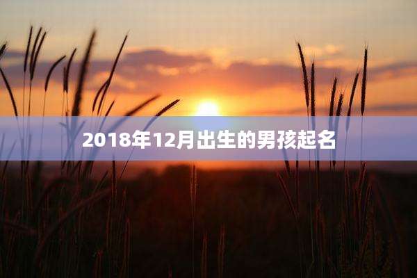 2018年12月出生的男孩起名