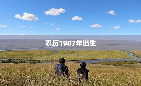 农历1987年出生