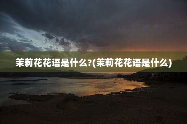茉莉花花语是什么?(茉莉花花语是什么)