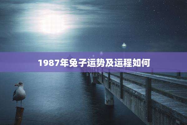 1987年兔子运势及运程如何