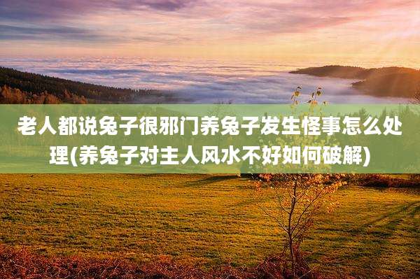 老人都说兔子很邪门养兔子发生怪事怎么处理(养兔子对主人风水不好如何破解)