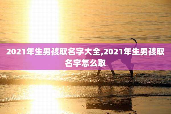 2021年生男孩取名字大全,2021年生男孩取名字怎么取