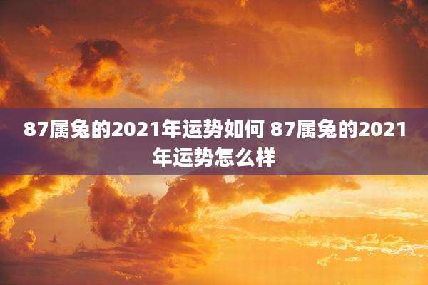 87属兔的2021年运势如何 87属兔的2021年运势怎么样