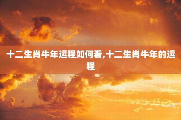 十二生肖牛年运程如何看,十二生肖牛年的运程