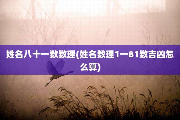 姓名八十一数数理(姓名数理1一81数吉凶怎么算)