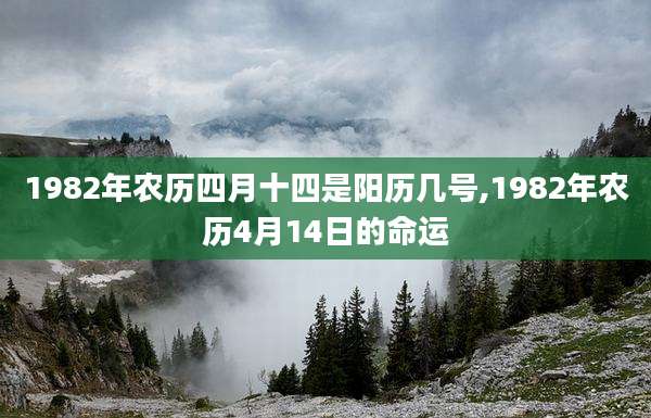 1982年农历四月十四是阳历几号,1982年农历4月14日的命运
