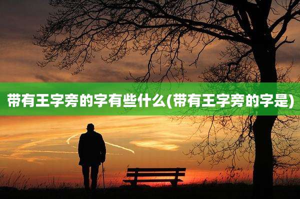 带有王字旁的字有些什么(带有王字旁的字是)