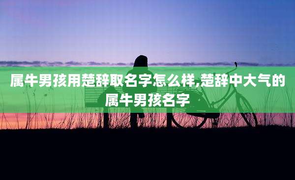 属牛男孩用楚辞取名字怎么样,楚辞中大气的属牛男孩名字