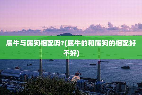 属牛与属狗相配吗?(属牛的和属狗的相配好不好)