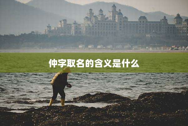 仲字取名的含义是什么