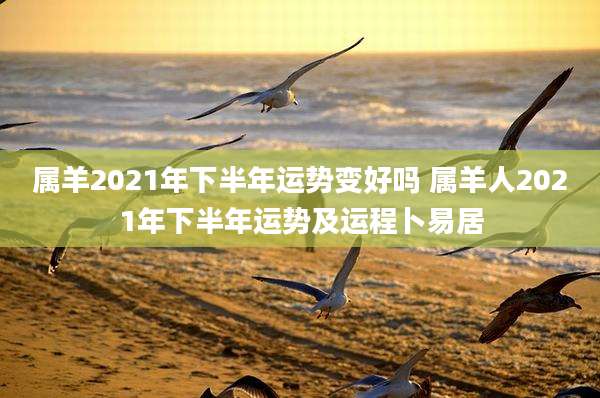 属羊2021年下半年运势变好吗 属羊人2021年下半年运势及运程卜易居