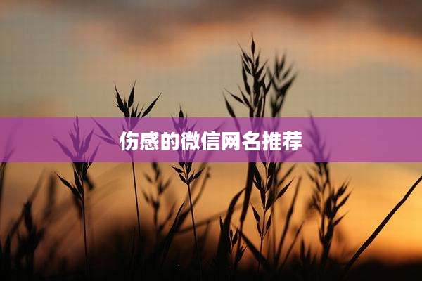 伤感的微信网名推荐