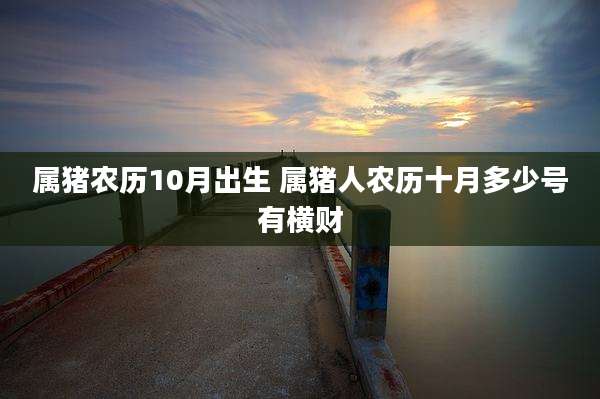 属猪农历10月出生 属猪人农历十月多少号有横财