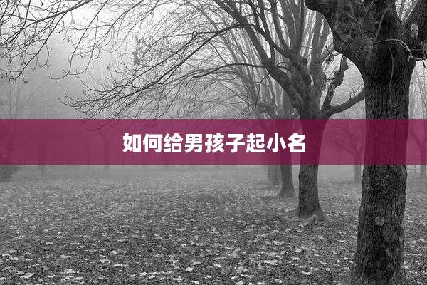 如何给男孩子起小名