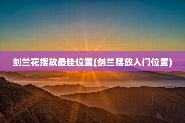 剑兰花摆放最佳位置(剑兰摆放入门位置)