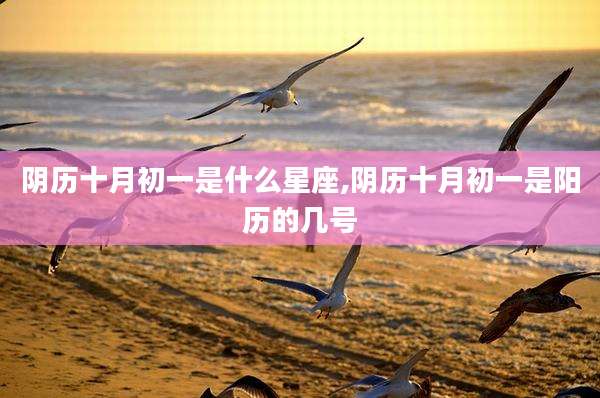 阴历十月初一是什么星座,阴历十月初一是阳历的几号
