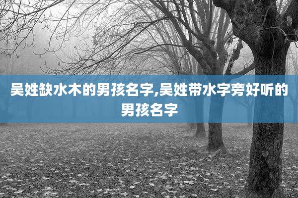 吴姓缺水木的男孩名字,吴姓带水字旁好听的男孩名字
