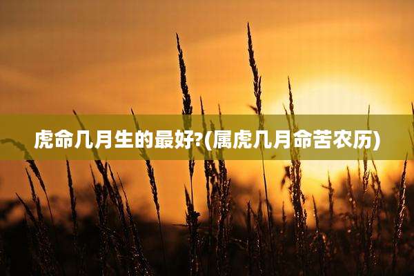 虎命几月生的最好?(属虎几月命苦农历)