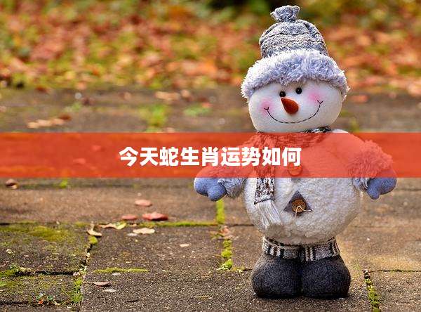 今天蛇生肖运势如何