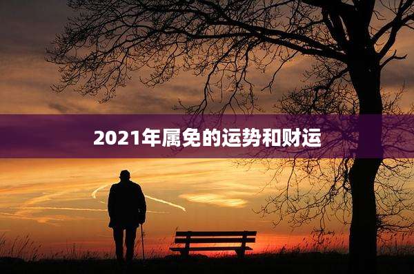 2021年属免的运势和财运