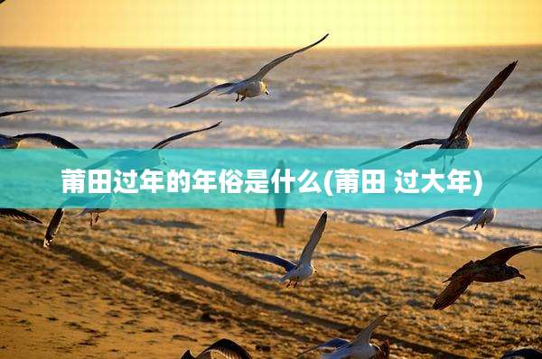 莆田过年的年俗是什么(莆田 过大年)