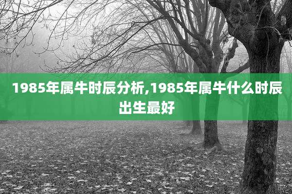 1985年属牛时辰分析,1985年属牛什么时辰出生最好
