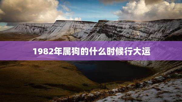1982年属狗的什么时候行大运