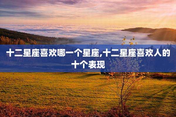 十二星座喜欢哪一个星座,十二星座喜欢人的十个表现