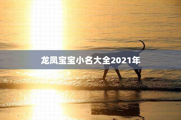 龙凤宝宝小名大全2021年