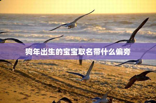 狗年出生的宝宝取名带什么偏旁