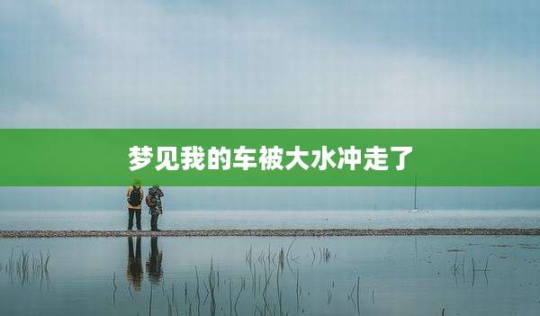 梦见我的车被大水冲走了