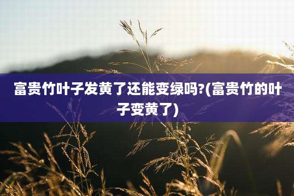 富贵竹叶子发黄了还能变绿吗?(富贵竹的叶子变黄了)
