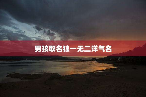 男孩取名独一无二洋气名
